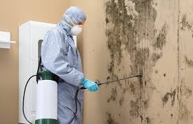 Best Air Quality Testing for Mold Spores  in Covedale, OH